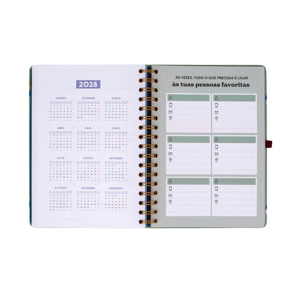 Agenda 2027 Semanal Mr Wonderful - Entre rotinas e tarefas