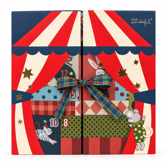 Pré-Venda ✨- Calendário do Advento Mr Wonderful - Circus
