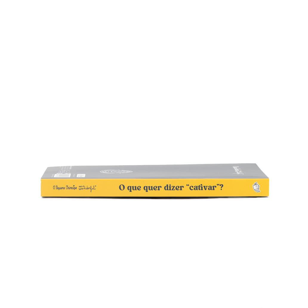Caderno O Principezinho - O que significa cativar?