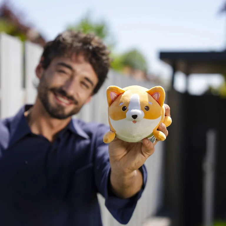 Peluche Mini Super Soft! - Corgi