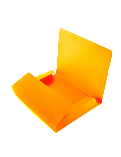 Pasta com Elásticos A4+ Colorline