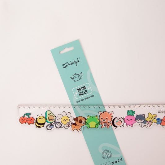 Régua 30 cm – Mr. Wonderful
