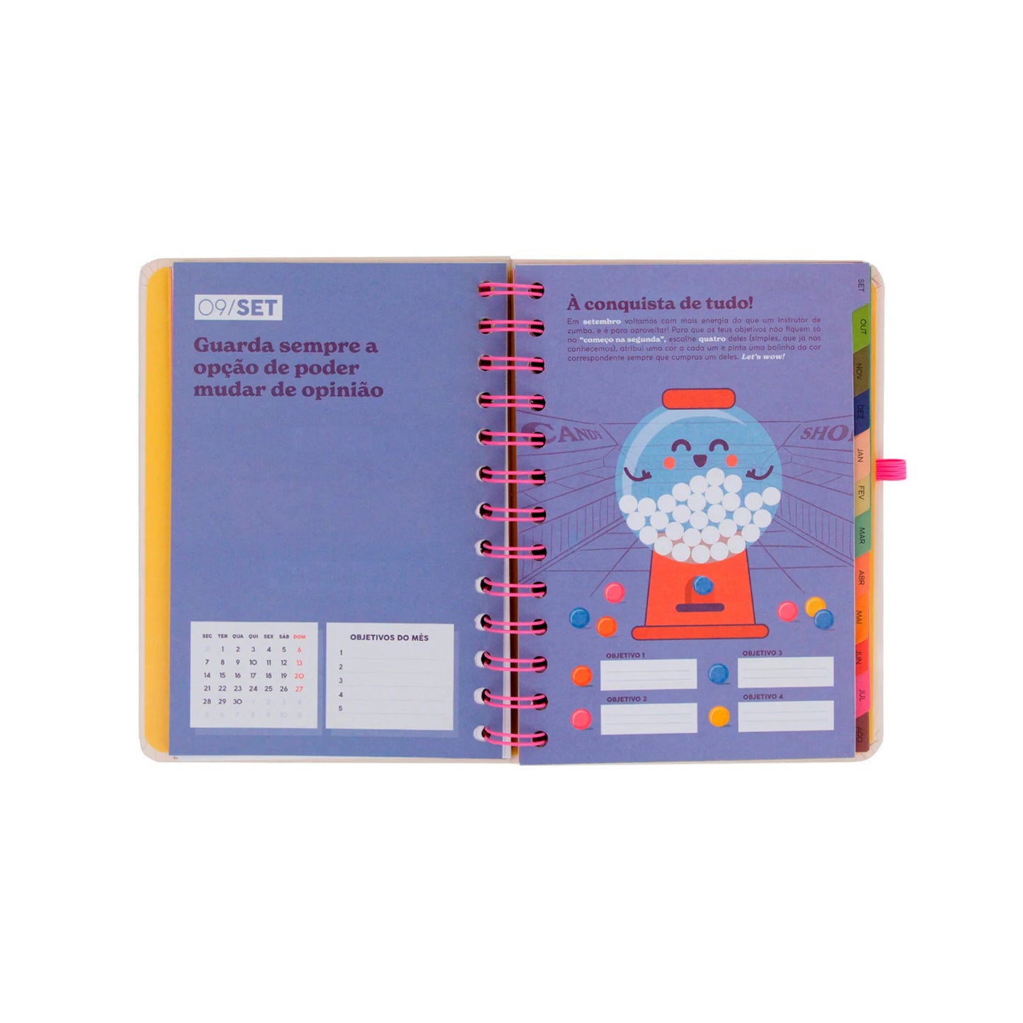Conjunto agenda Mr Wonderful pequena 2026-2027 Semanal + 3 canetas apagáveis Bo-Bo