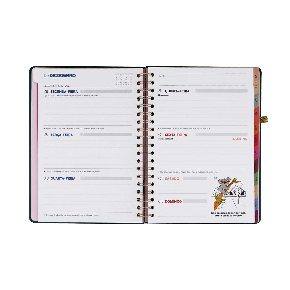 Agenda 2027 Semanal Mr Wonderful - 2027 em movimento