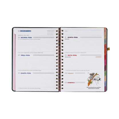 Agenda 2027 Semanal Mr Wonderful - 2027 em movimento
