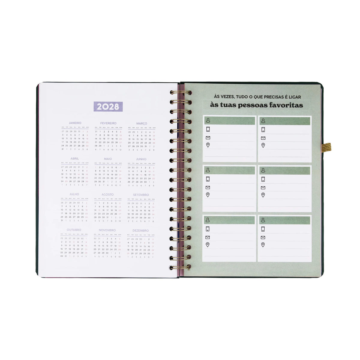 Agenda 2027 Semanal Mr Wonderful - 2027 em movimento